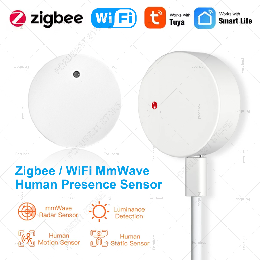 Smart Home Zentrale - ZigBee Wifi MmWave Human Presence Motion