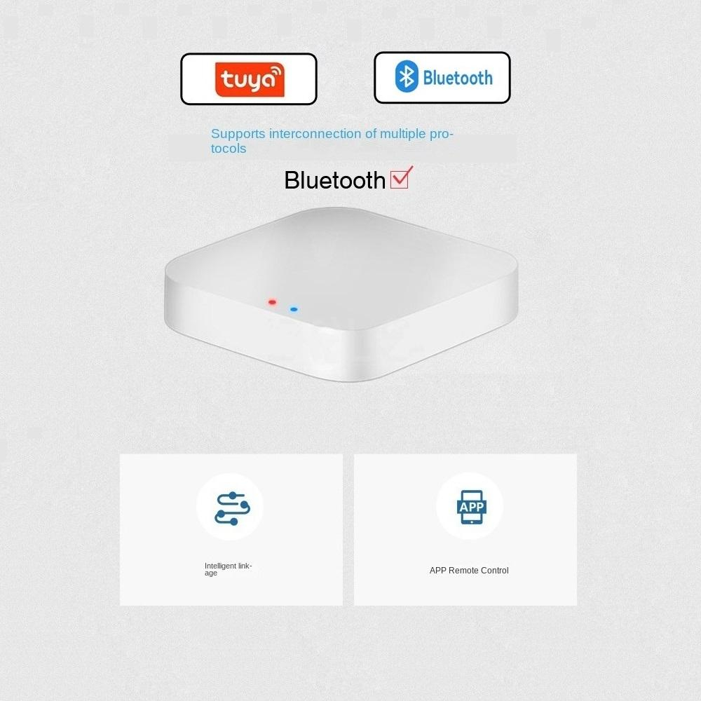 Tuya / Smart Life Gateway Hub  - Smart Home Zentrale review and price