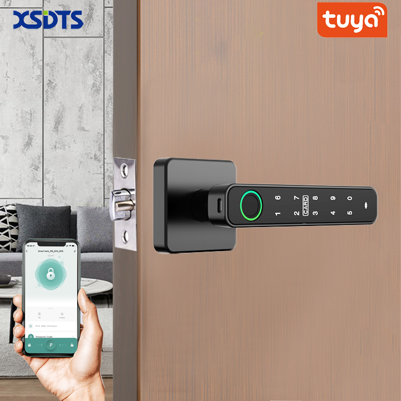 XSDTS Tuya Handle Fingerprint  - Smart Home Design review and price