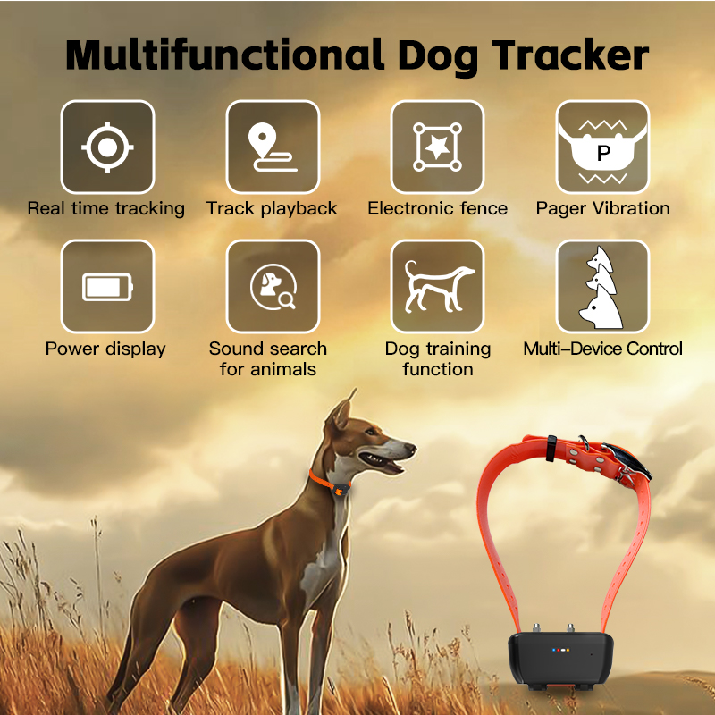 Special WiFi Waterproof GPS Do - Smart Home For Pc review and price
