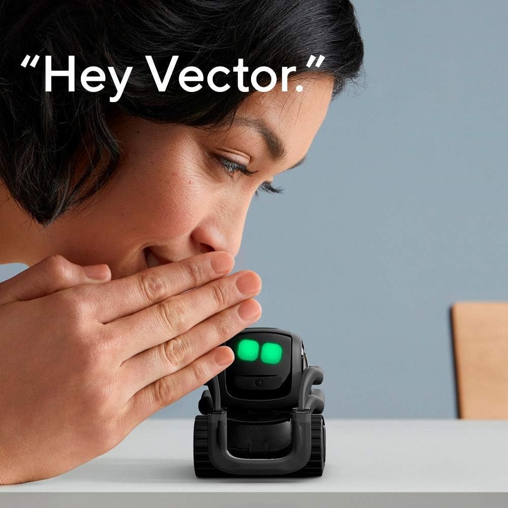 AI ChatGPT 2.0 Connected Robot - Smart Home Remote review and price