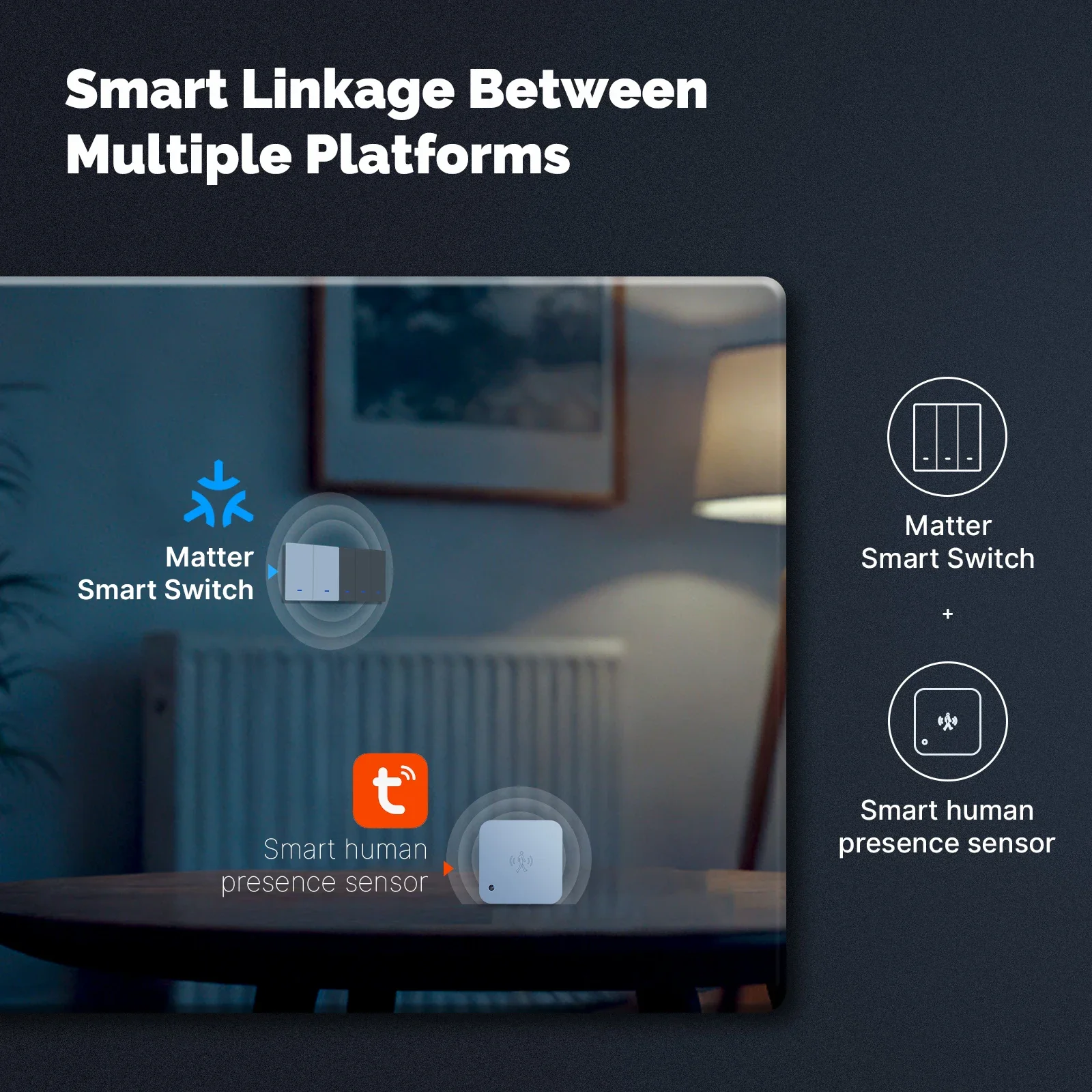 MOES Matter Tuya WiFi Smart Li - Smart Home Remote review and price