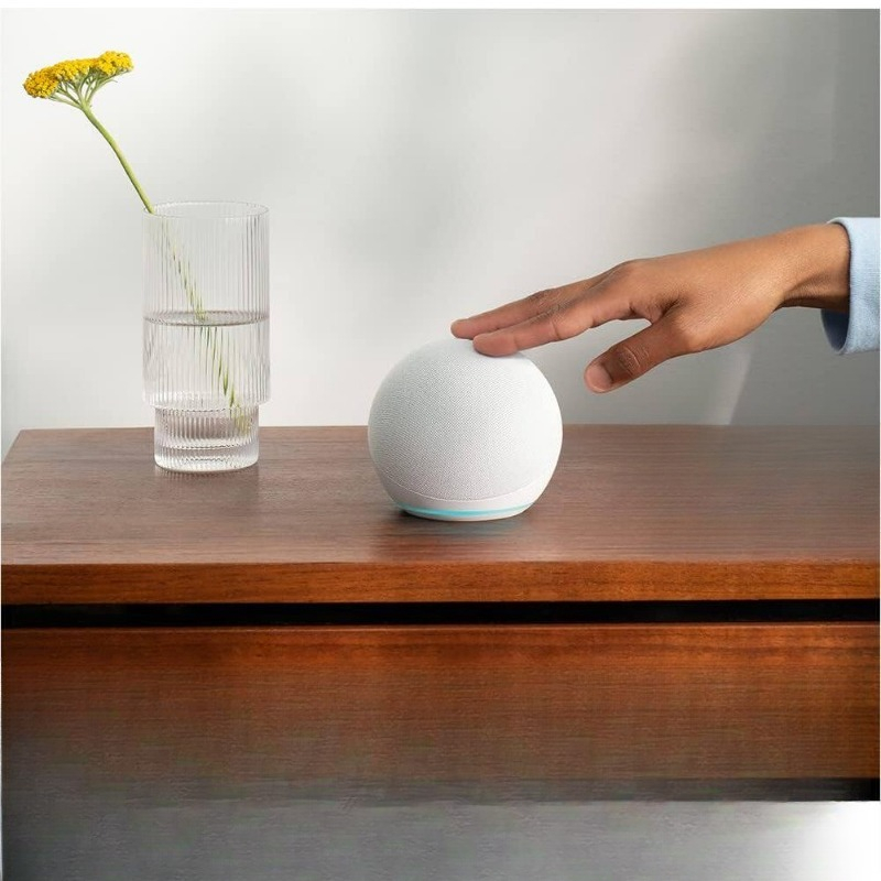 Smart Speaker with Clock Displ - Smart Home Speaker review and price